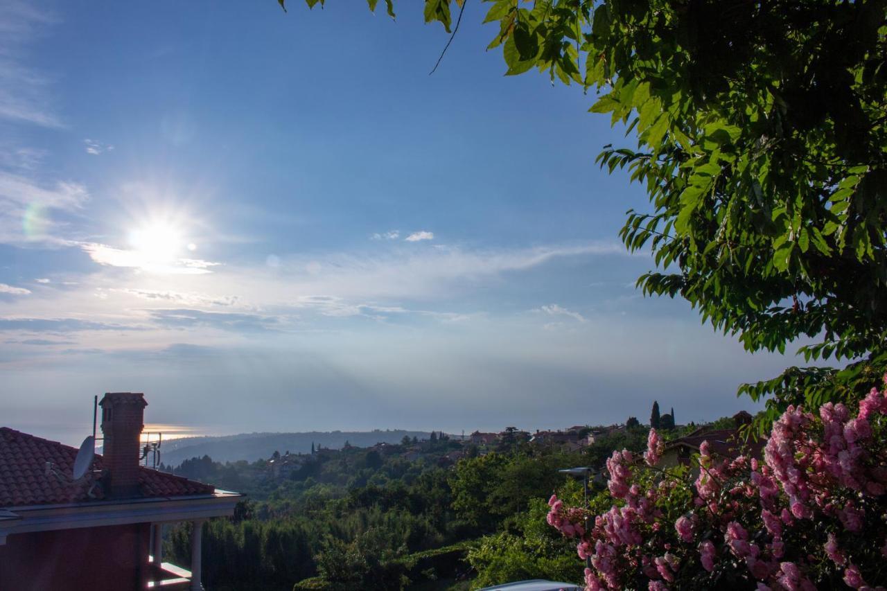 דירות איזולה Seaview Heights Above Portoroz מראה חיצוני תמונה